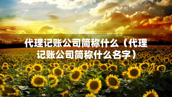 代理记账公司简称什么（代理记账公司简称什么名字）