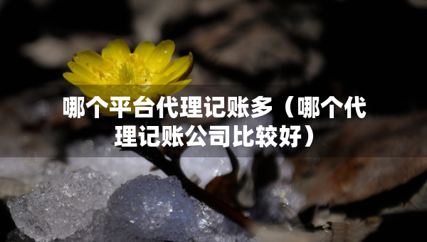 哪个平台代理记账多（哪个代理记账公司比较好）
