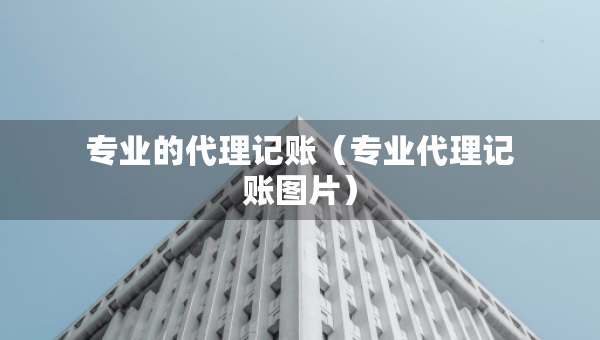 专业的代理记账（专业代理记账图片）