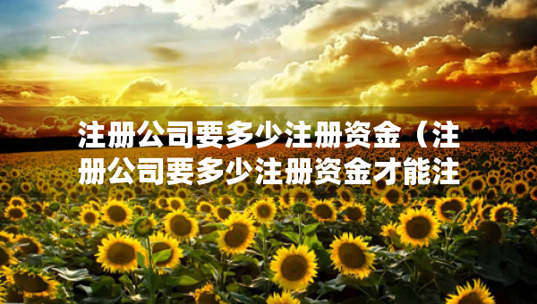 注册公司要多少注册资金（注册公司要多少注册资金才能注册）