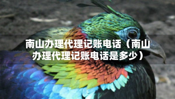 南山办理代理记账电话（南山办理代理记账电话是多少）