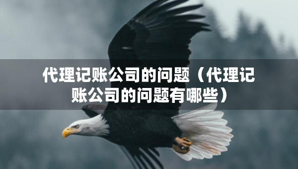 代理记账公司的问题（代理记账公司的问题有哪些）