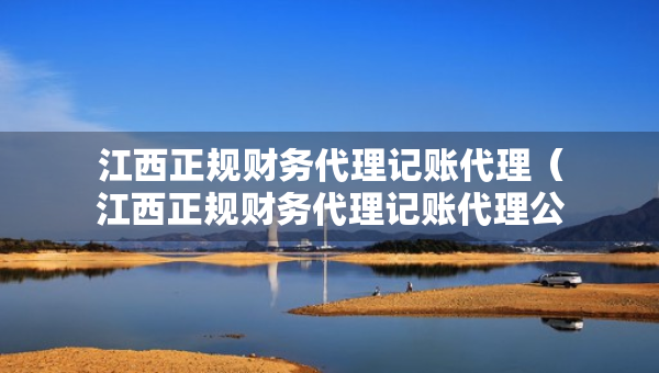 江西正规财务代理记账代理（江西正规财务代理记账代理公司）