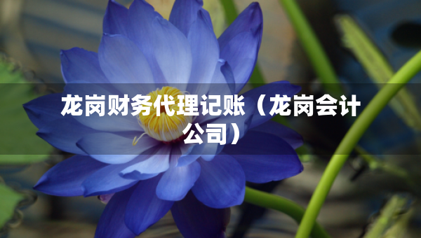 龙岗财务代理记账（龙岗会计公司）