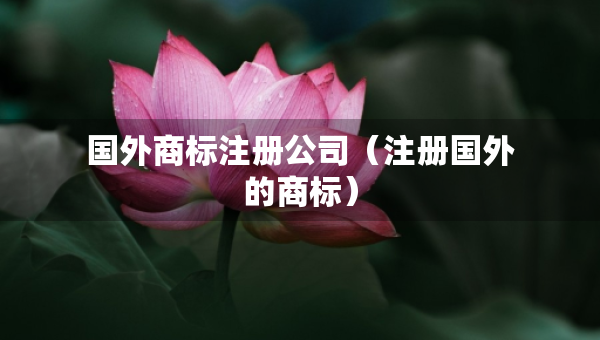 国外商标注册公司（注册国外的商标）