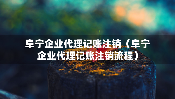 阜宁企业代理记账注销（阜宁企业代理记账注销流程）