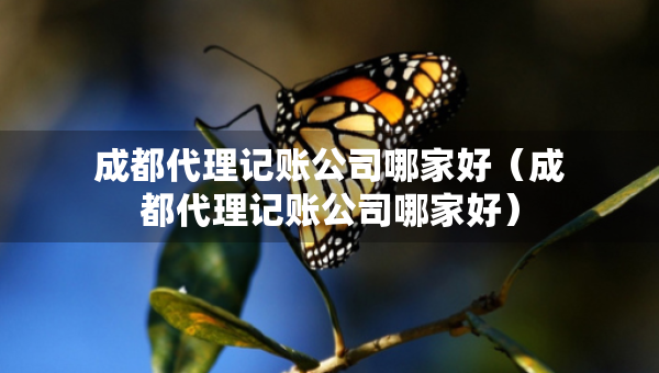 成都代理记账公司哪家好（成都代理记账公司哪家好）