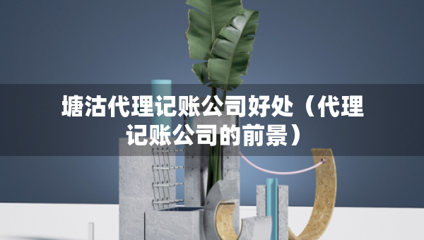 塘沽代理记账公司好处（代理记账公司的前景）