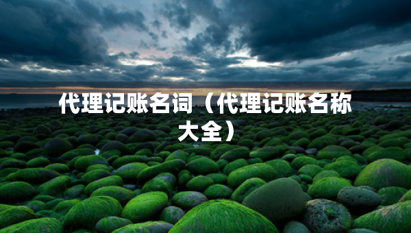 代理记账名词（代理记账名称大全）