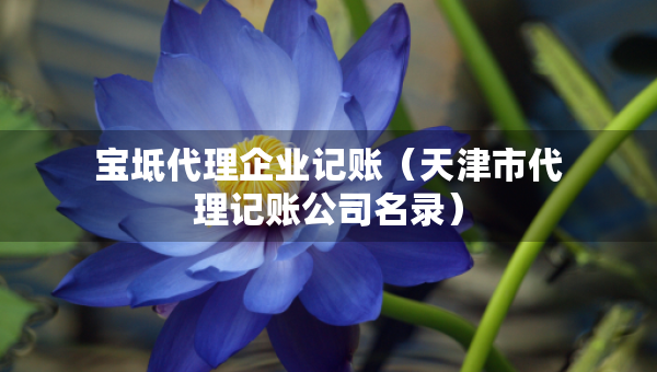 宝坻代理企业记账（天津市代理记账公司名录）