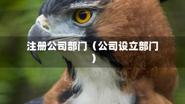 注册公司部门（公司设立部门）