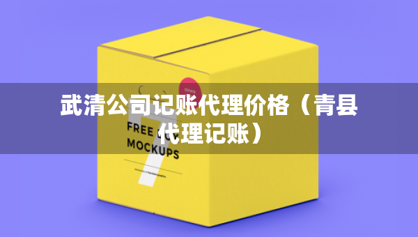 武清公司记账代理价格（青县代理记账）