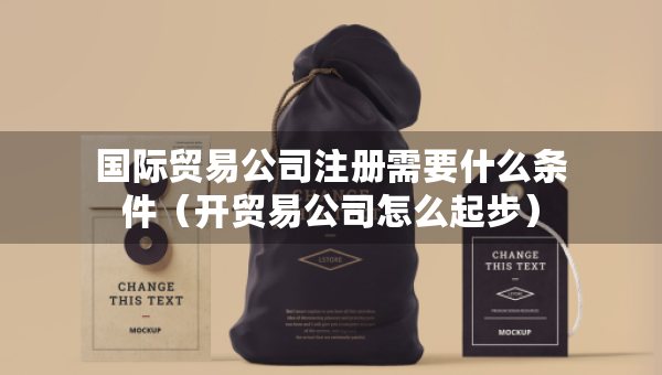 国际贸易公司注册需要什么条件（开贸易公司怎么起步）
