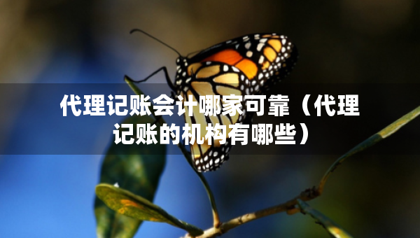 代理记账会计哪家可靠（代理记账的机构有哪些）