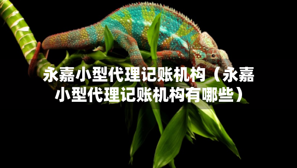 永嘉小型代理记账机构（永嘉小型代理记账机构有哪些）