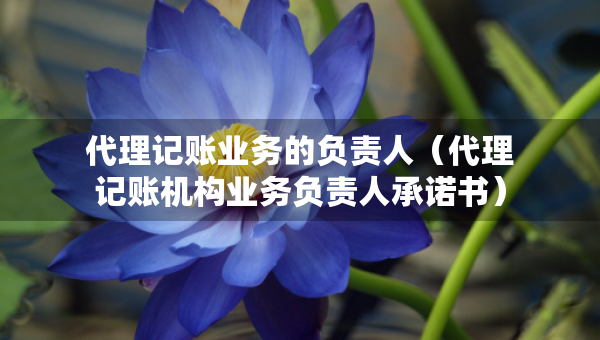 代理记账业务的负责人（代理记账机构业务负责人承诺书）