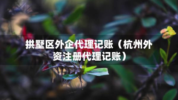 拱墅区外企代理记账（杭州外资注册代理记账）