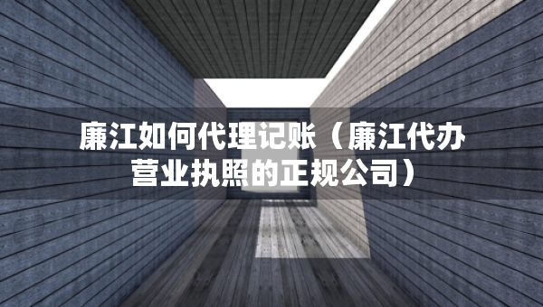 廉江如何代理记账（廉江代办营业执照的正规公司）