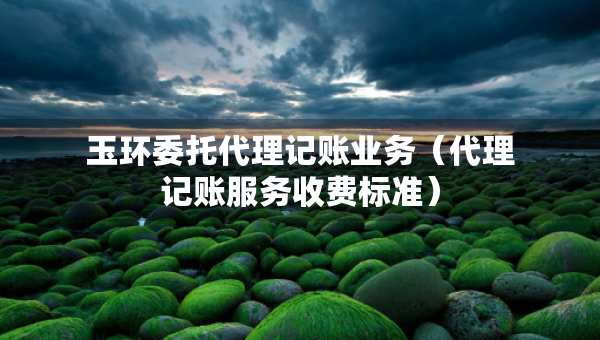 玉环委托代理记账业务（代理记账服务收费标准）