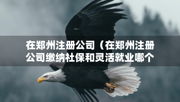 在郑州注册公司（在郑州注册公司缴纳社保和灵活就业哪个划算些）