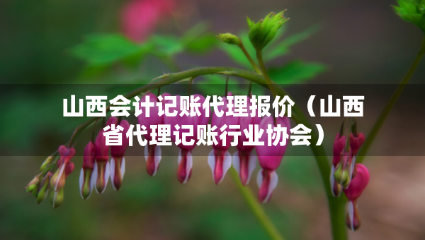 山西会计记账代理报价（山西省代理记账行业协会）