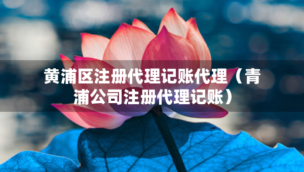 黄浦区注册代理记账代理（青浦公司注册代理记账）