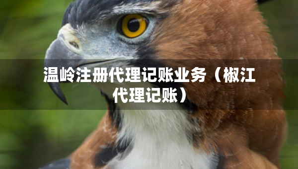 温岭注册代理记账业务（椒江代理记账）