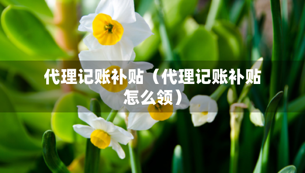 代理记账补贴（代理记账补贴怎么领）