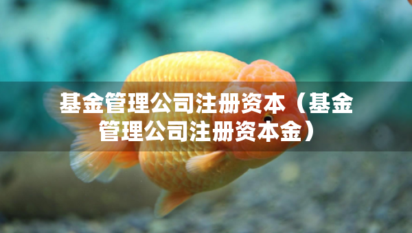 基金管理公司注册资本（基金管理公司注册资本金）