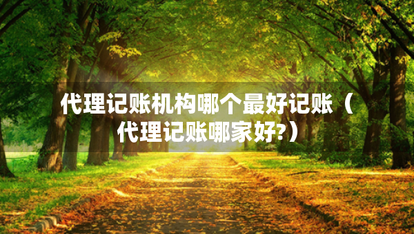 代理记账机构哪个最好记账（代理记账哪家好?）