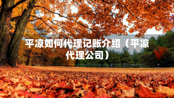 平凉如何代理记账介绍（平凉代理公司）