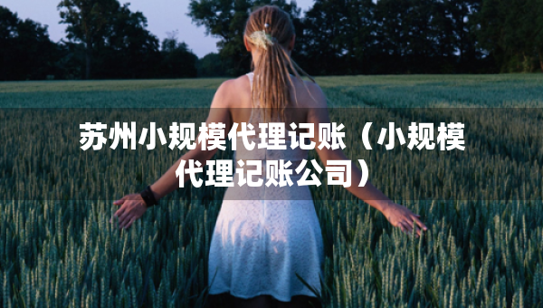 苏州小规模代理记账（小规模代理记账公司）