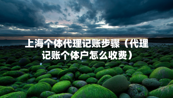 上海个体代理记账步骤（代理记账个体户怎么收费）