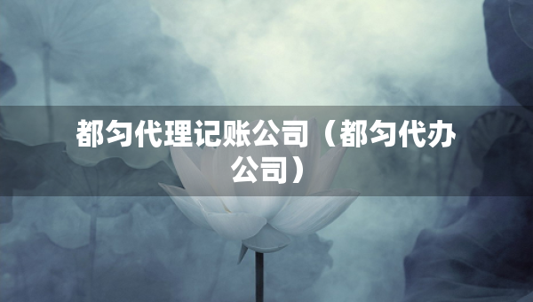 都匀代理记账公司（都匀代办公司）