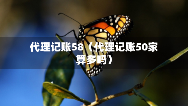 代理记账58（代理记账50家算多吗）