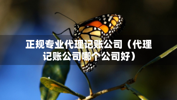 正规专业代理记账公司（代理记账公司哪个公司好）