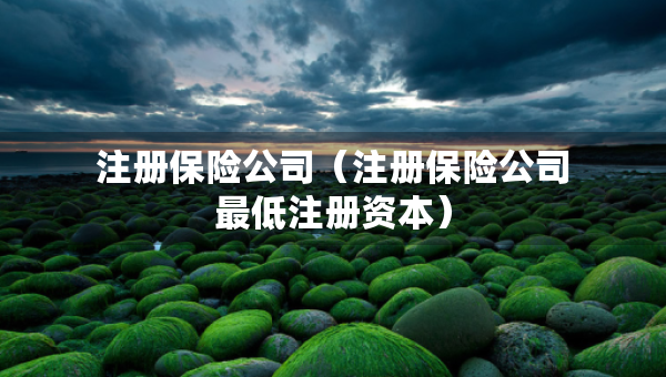注册保险公司（注册保险公司最低注册资本）