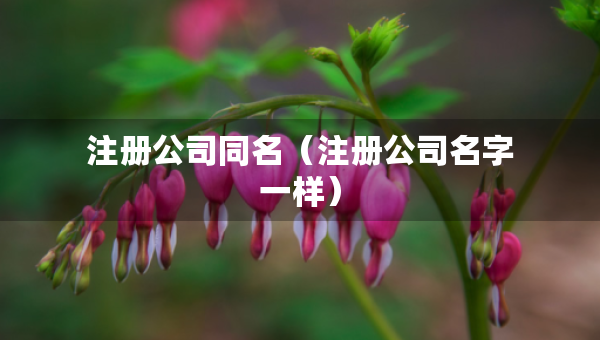 注册公司同名（注册公司名字一样）