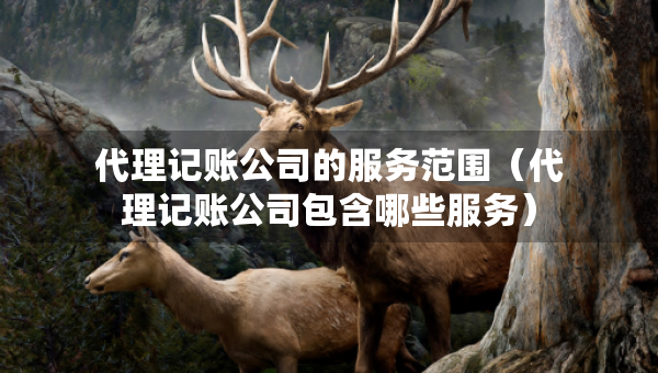 代理记账公司的服务范围（代理记账公司包含哪些服务）