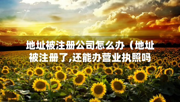 地址被注册公司怎么办（地址被注册了,还能办营业执照吗）