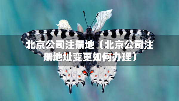 北京公司注册地（北京公司注册地址变更如何办理）