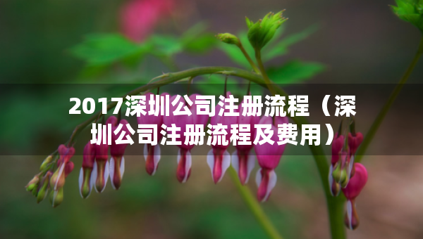 2017深圳公司注册流程（深圳公司注册流程及费用）