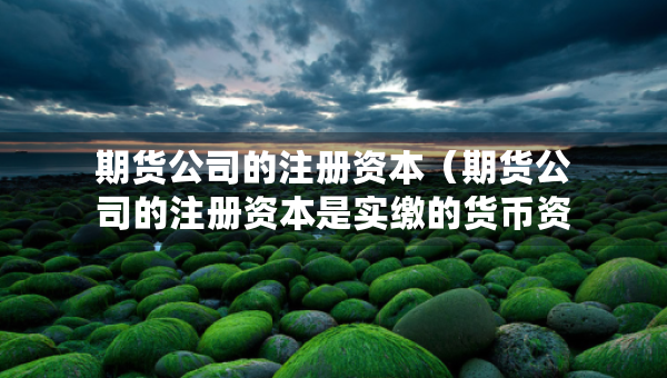 期货公司的注册资本（期货公司的注册资本是实缴的货币资本吗）
