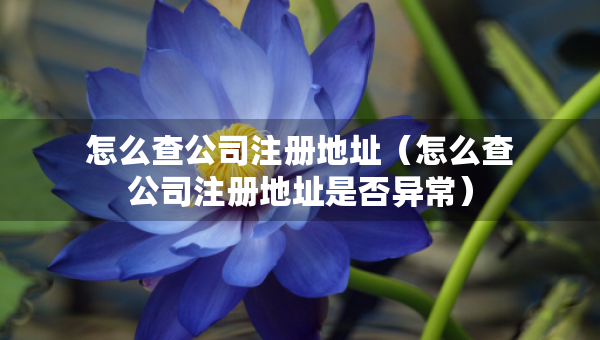 怎么查公司注册地址（怎么查公司注册地址是否异常）