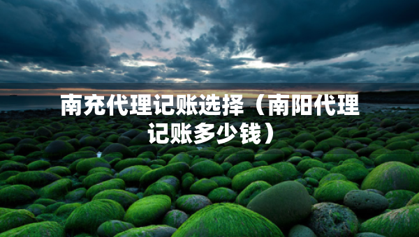 南充代理记账选择（南阳代理记账多少钱）