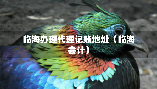 临海办理代理记账地址（临海会计）