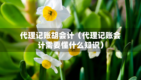 代理记账胡会计（代理记账会计需要懂什么知识）