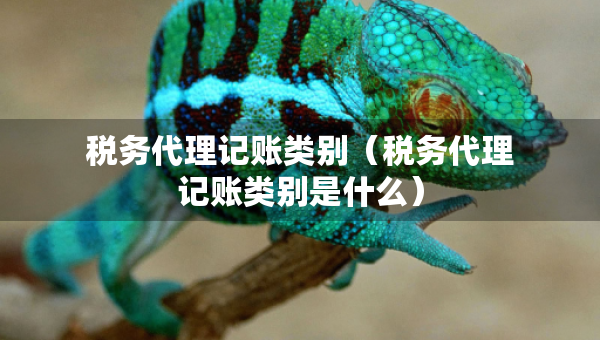 税务代理记账类别（税务代理记账类别是什么）
