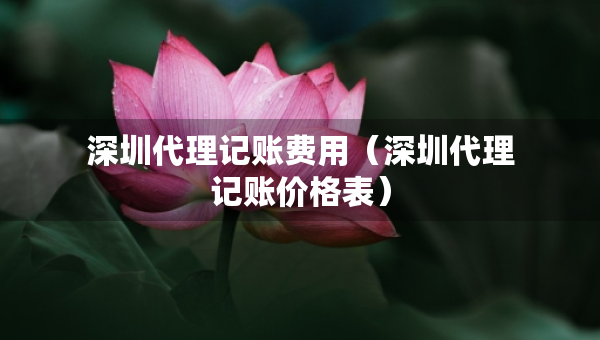 深圳代理记账费用（深圳代理记账价格表）