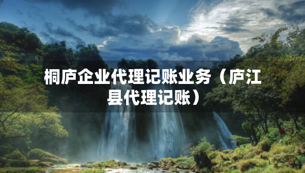 桐庐企业代理记账业务（庐江县代理记账）